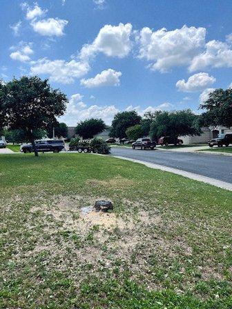 Zion Outdoor Services