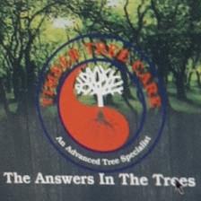 Timber Tree Care