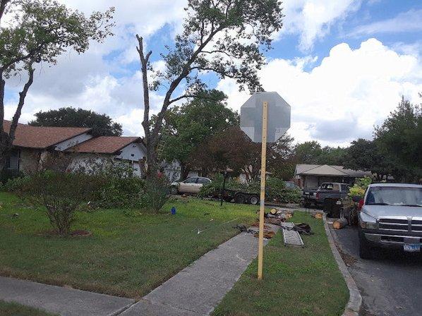 Timber Tree Care