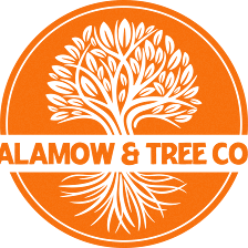Alamow & Tree Co.