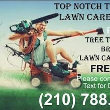Top Notch Tree Services & Lawn Care Maintenance