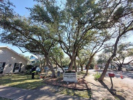 Top Notch Tree Services & Lawn Care Maintenance