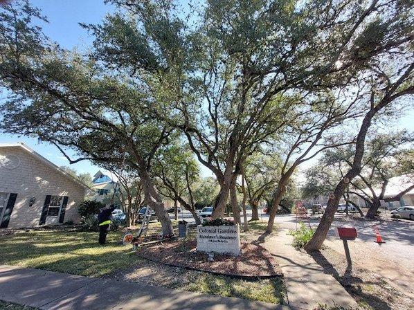 Top Notch Tree Services & Lawn Care Maintenance