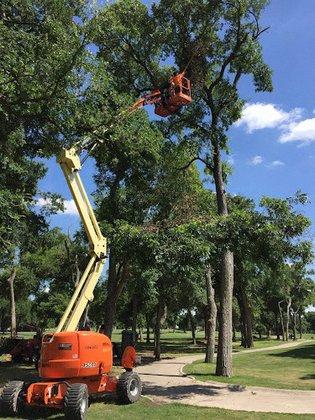 New Heights Tree Service Inc.