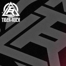 Tiger-Rock Martial Arts