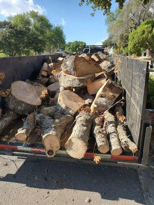 Ramos Tree Service
