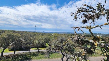 Precise Tree Care & Removal