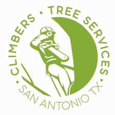Climbers tree service