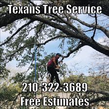 TEXANS TREE SERVICE