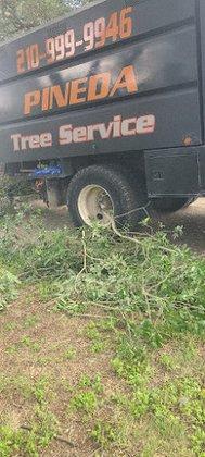 Robin Pineda Tree Service