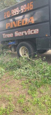 Robin Pineda Tree Service