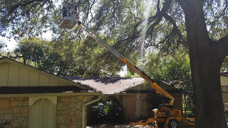 Ground Control Tree Service