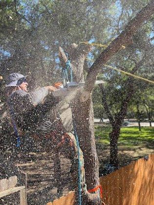 Doc's Tree Service