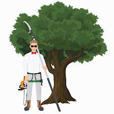 Dapper Tree Service