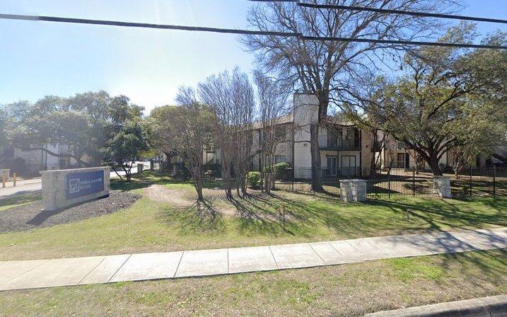 T﻿r﻿e﻿e Trimming San Antonio