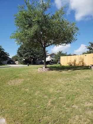 River City Tree Service