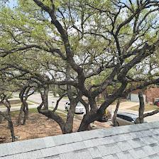 HML TREE SERVICE