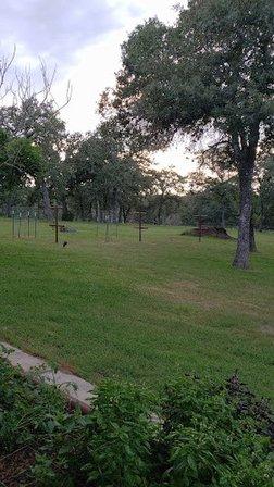 Oak Tree Studio and Farm