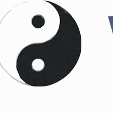 Martial Arts Wellness Group