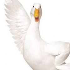 Aflac New Braunfels