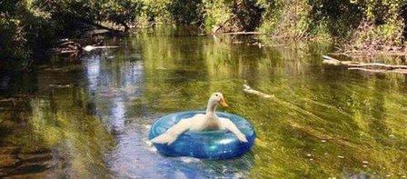 Aflac New Braunfels