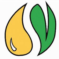 Hidden Leaf Smoke Shop + Lounge | CBD | Delta 8 | Vape | THCa