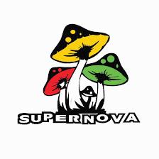 Supernova Smoke Shop #6