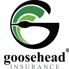 Goosehead Insurance - Karma Delgado Agency