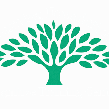 Learning Foundations- Cognitive & Dyslexia Training Center