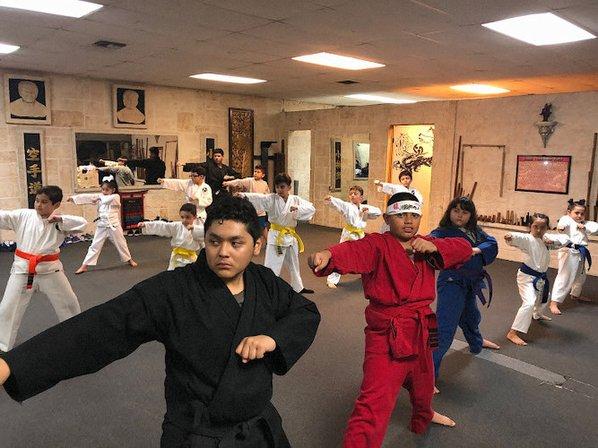 Shorin-ryu Karate