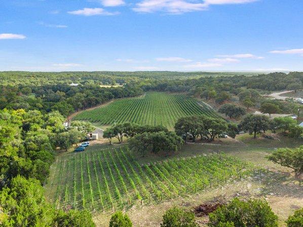 Limestone Terrace Vineyard