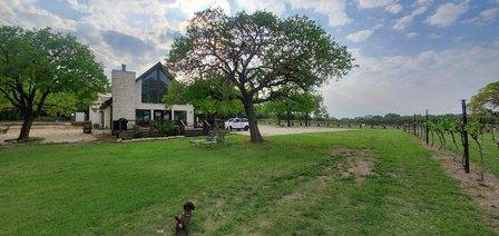 Hamilton Pool Vineyards & Farms