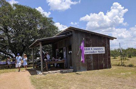 Hill Country Lavender Farm