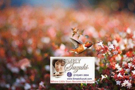 Simply Suzuki Violin Studio Instruments and Lessons
