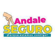 Andale Seguro