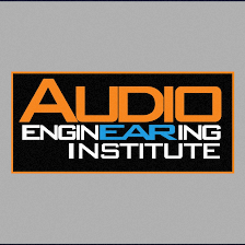 Audio EnginEARing Institute
