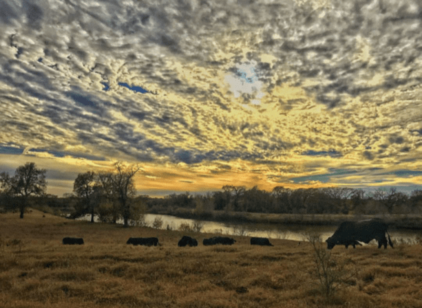 Valbridge Property Advisors | San Antonio
