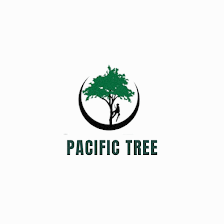 Pacific Tree