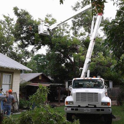 Precision Tree Service