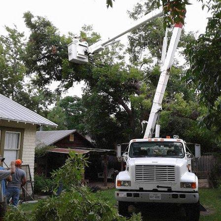 Precision Tree Service