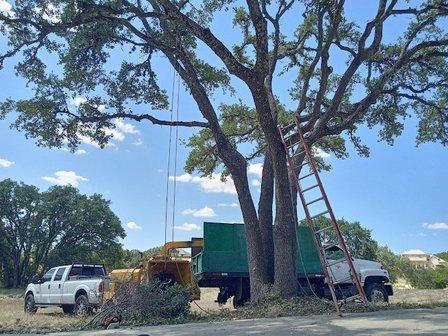 Guadalupe Tree Service