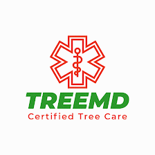 TreeMD Certified Tree Service