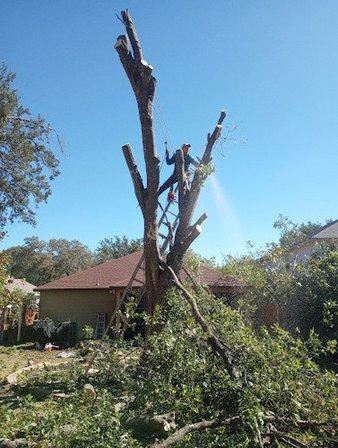 Military City Lawn&Tree Care