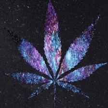 Wonderland Smoke Shop