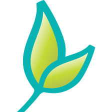 United Allergy Services