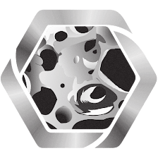 South Texas Fracture Prevention Clinic