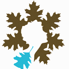 Seven Oaks Women's Center