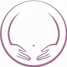 Little Bellies Ultrasound & Pregnancy Spa