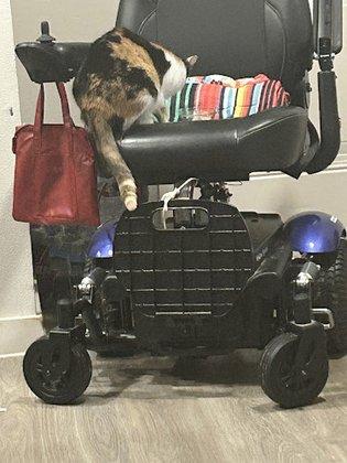 Texas Medical Transportation