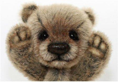 Bear Pediatric PLLC